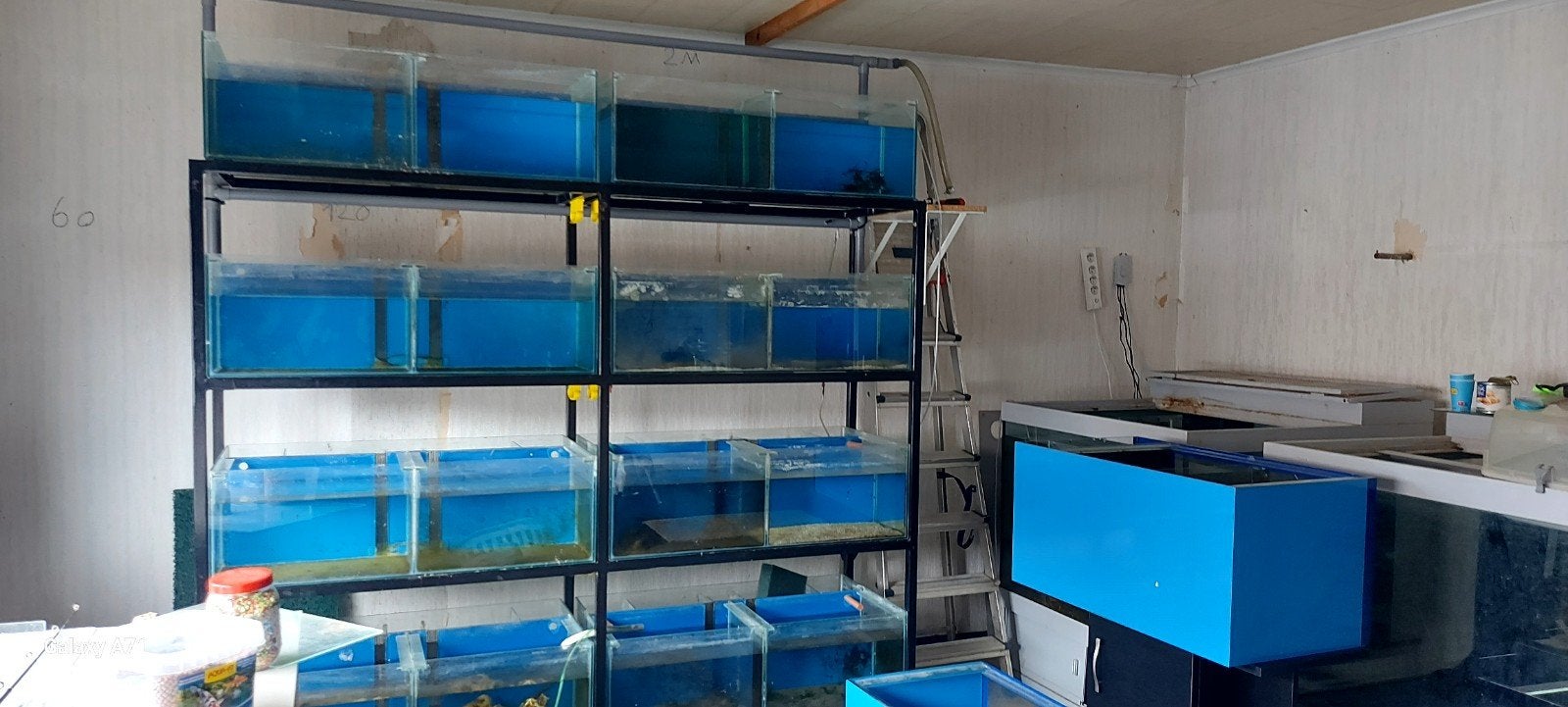 aquariums en veel gerief bij interesse berichtje west vl, Ophalen