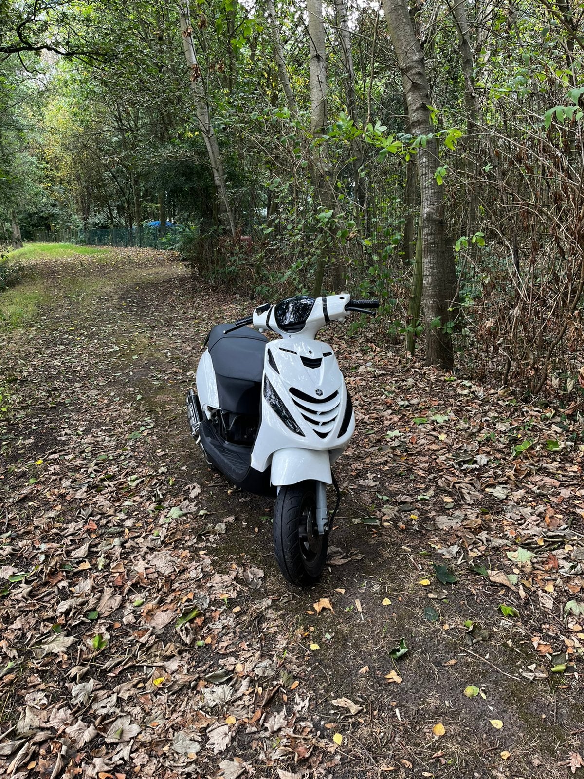 WAARDENPEILING piaggio zip, Ophalen, Nieuw, Overige typen, Overige merken