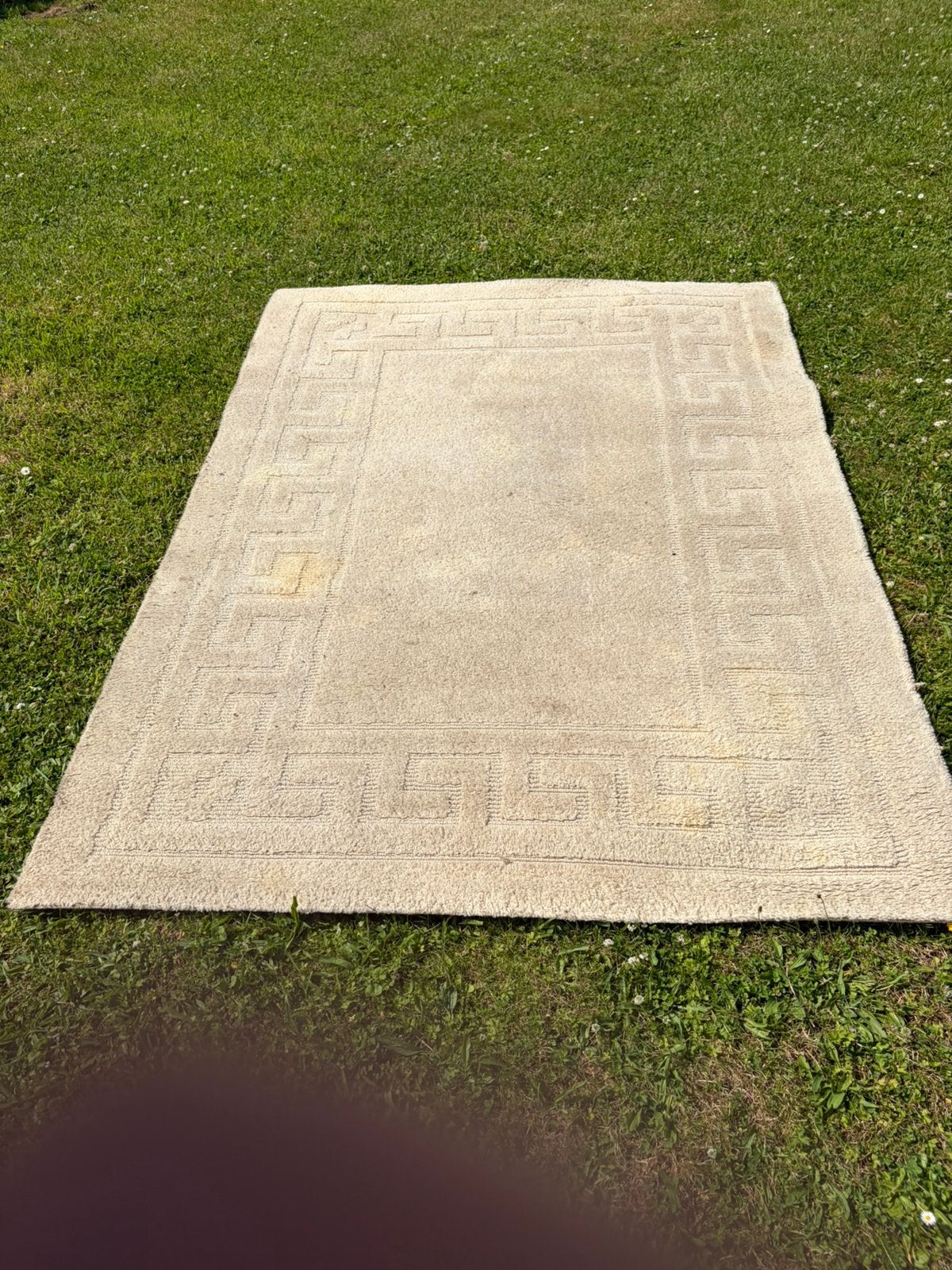 VEGA wollen tapijt 140x200 cm – 100% scheerwol – beige/crème, Ophalen
