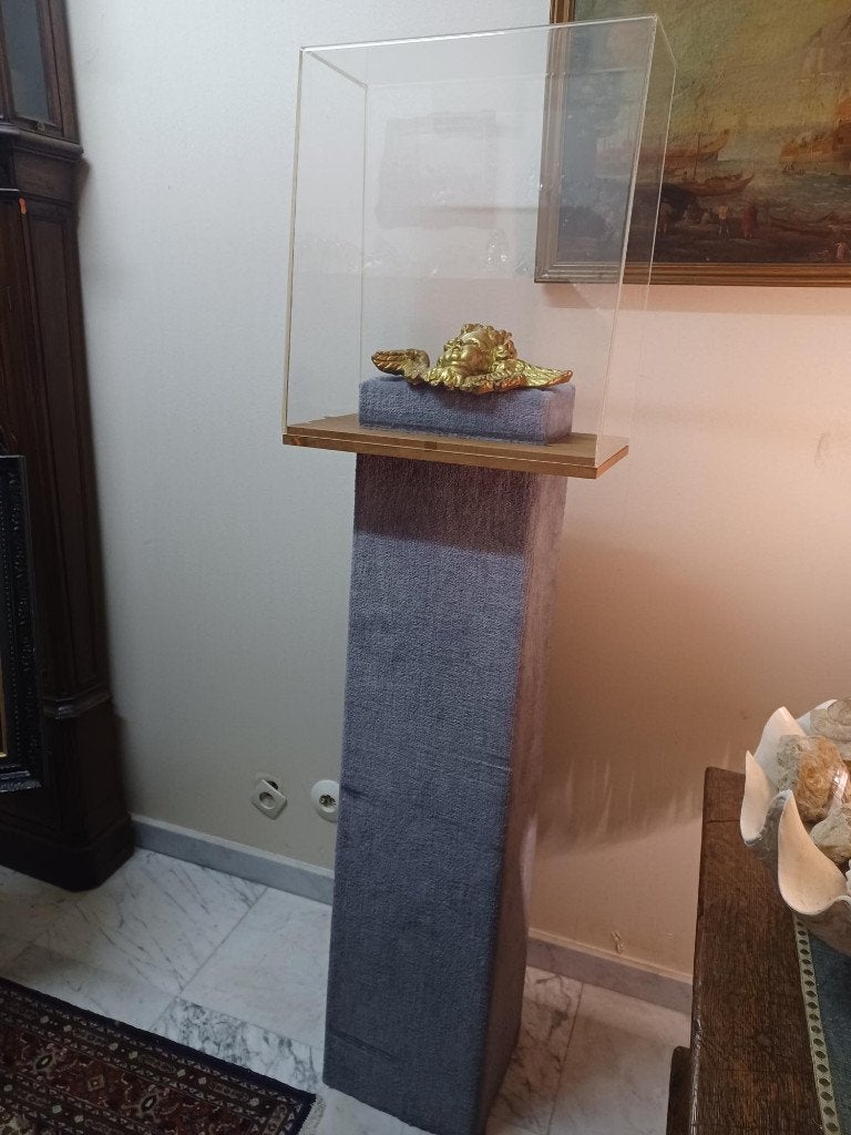 Support de présentation+vitrine : 130 eu/pièce, Salle de réunion ou de Présentation, Enlèvement, Utilisé, Armoire