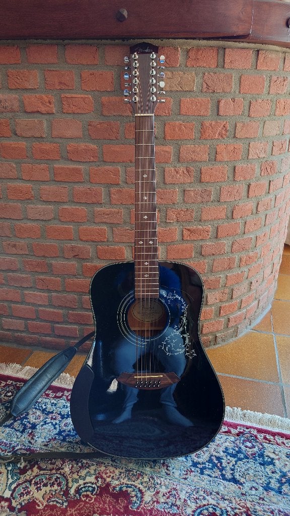 Fender 12-snarige gitaar, Musique & Instruments, Enlèvement, Comme neuf, Guitare Western ou Guitare Folk, 12 cordes