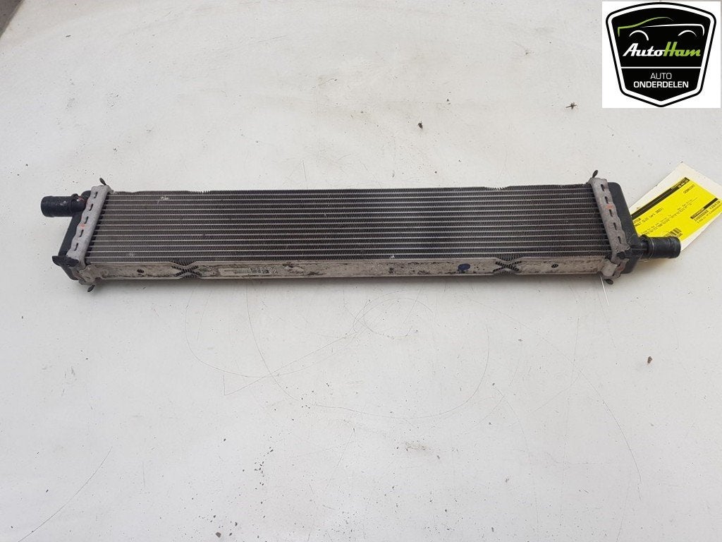 RADIATEUR EAU Renault Clio V (RJAB) (|214108020R|), Dhr. J. Ham, Renault, Administratie@autoham.nl, Utilisé