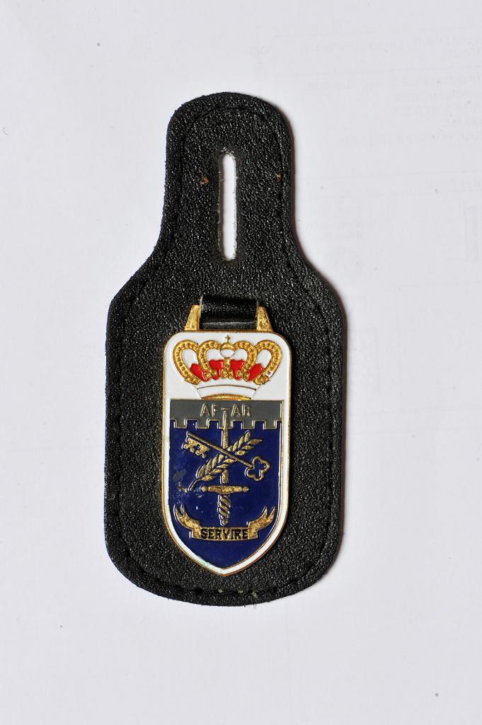 Direction Générale des Finances - Breloque (1), Envoi, Armée de terre, Emblème ou Badge