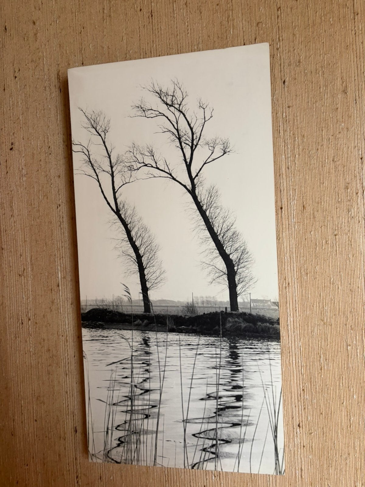 Foto/schilderij, Ophalen