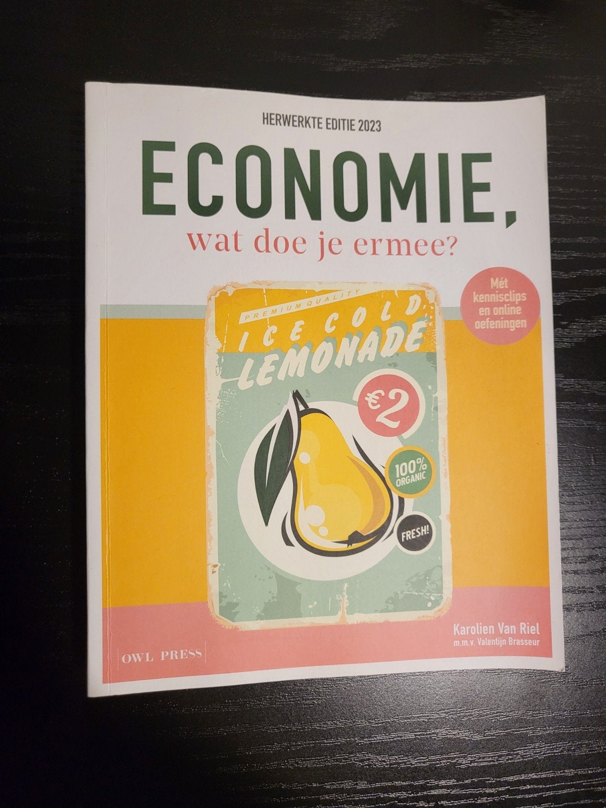 Karolien Van Riel - Economie, wat doe je ermee?, Boeken, Ophalen of Verzenden, Karolien Van Riel; Valentijn Brasseur