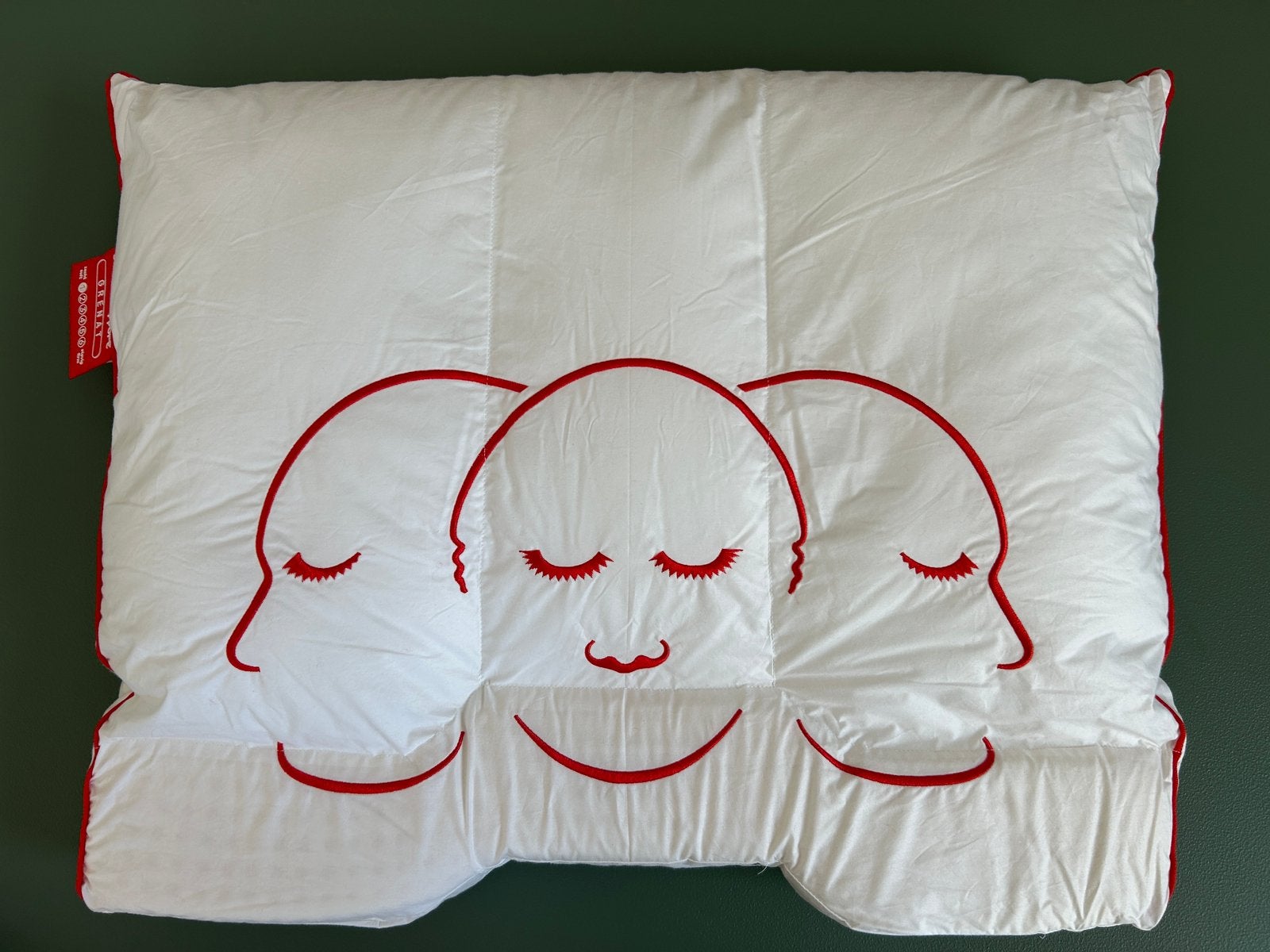 NIEUW - Silvana Neksteunkussen Support Rood, Maison & Meubles, Accessoires pour la Maison | Coussins, Enlèvement ou Envoi, Neuf