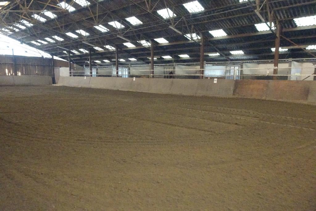 1 stal vrij te Wolfsdonk, Dieren en Toebehoren, Stalling en Weidegang, Stalling, Weidegang, 1 paard of pony