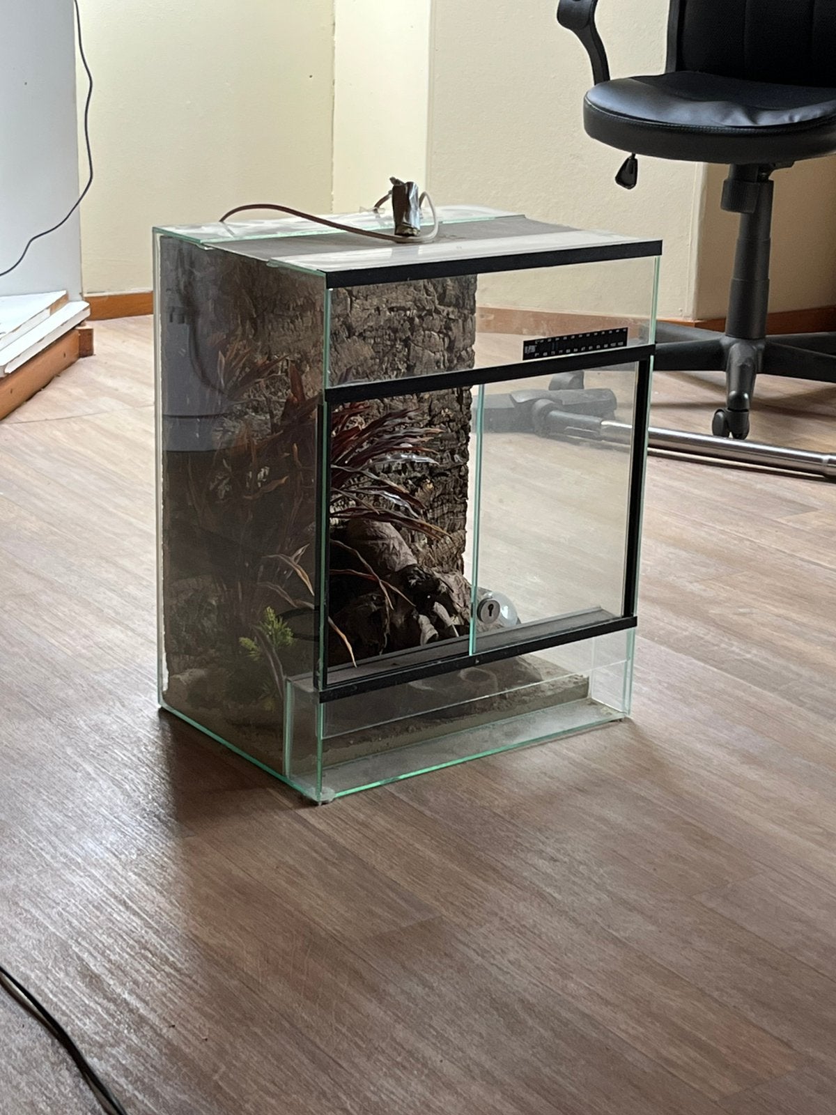 Terrarium, Animaux & Accessoires, Enlèvement, Comme neuf