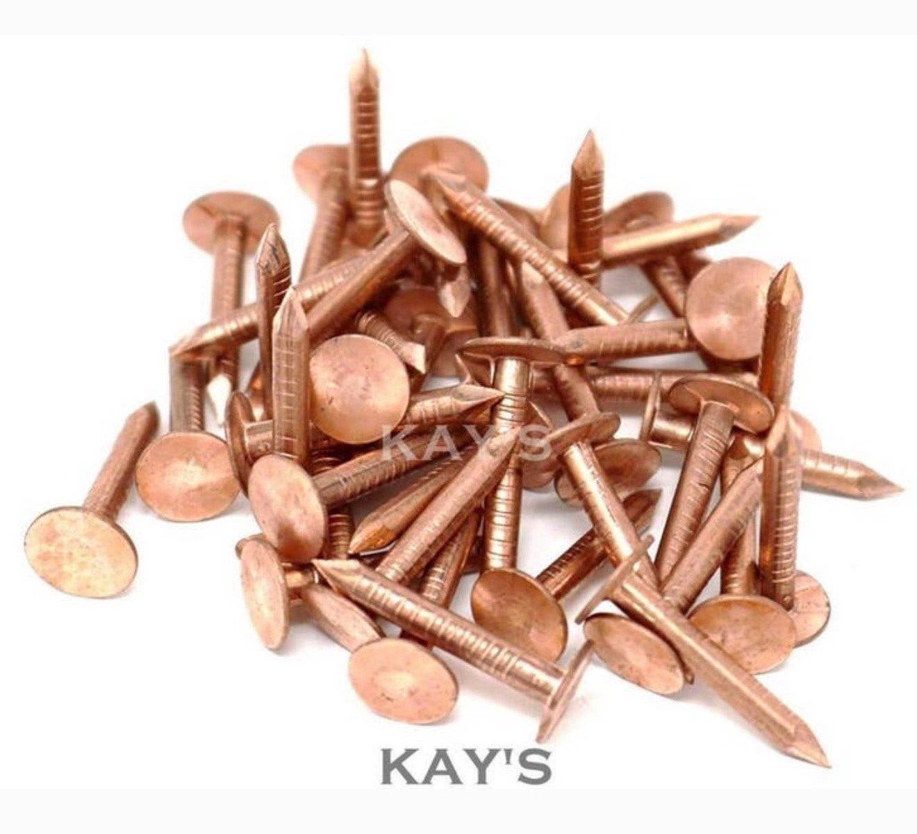 50X Set Koperen daknagels 40mm x 2.65mm 50 stuks leiennagels, Doe-het-zelf en Bouw, Ophalen of Verzenden, Nieuw