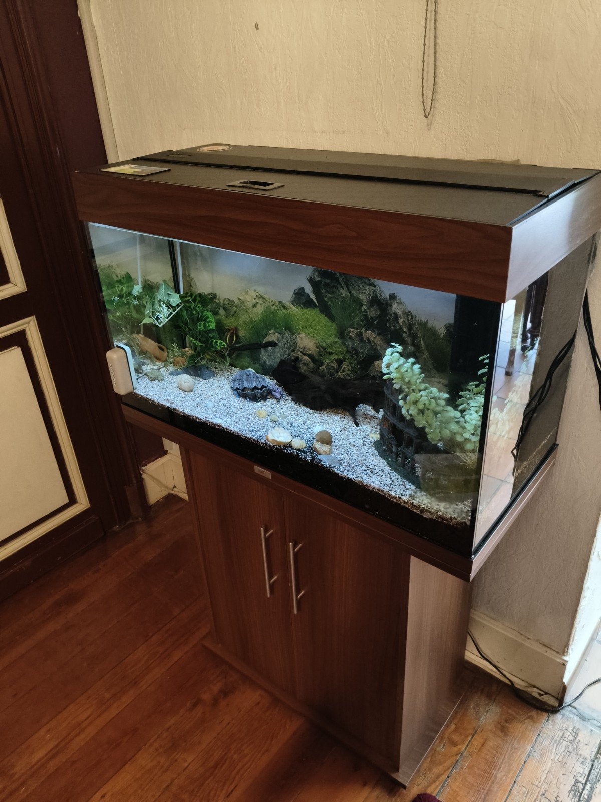 aquarium, Animaux & Accessoires