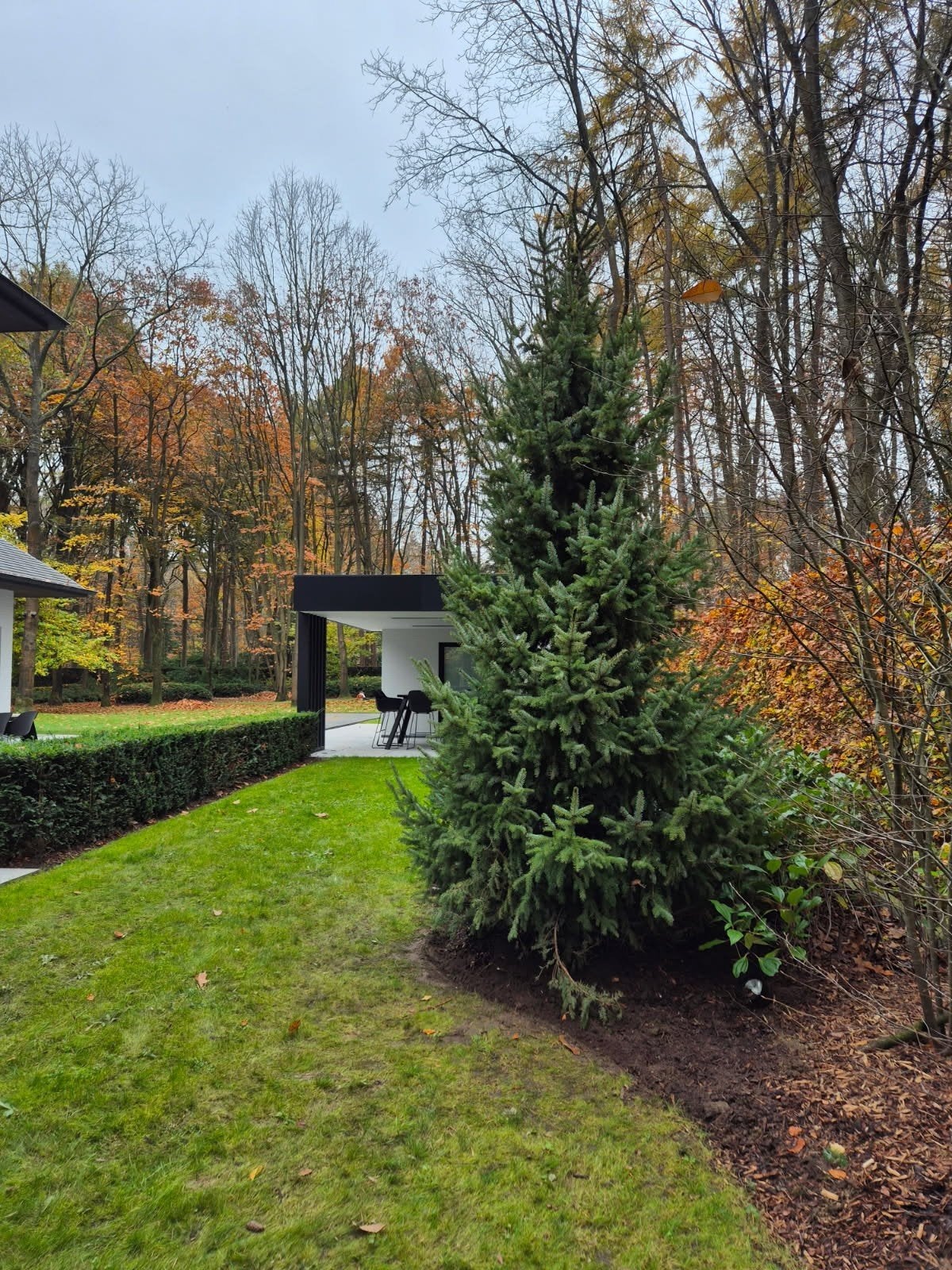 prachtige kerstbomen voor 2027 te laten schitteren, Ophalen of Verzenden