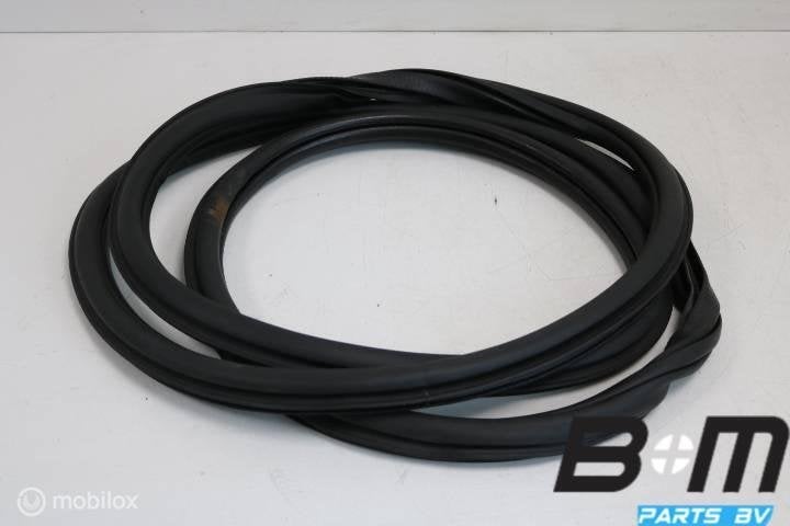 Portierrubber RV VW Sharan 7N 7N0867912B, Utilisé