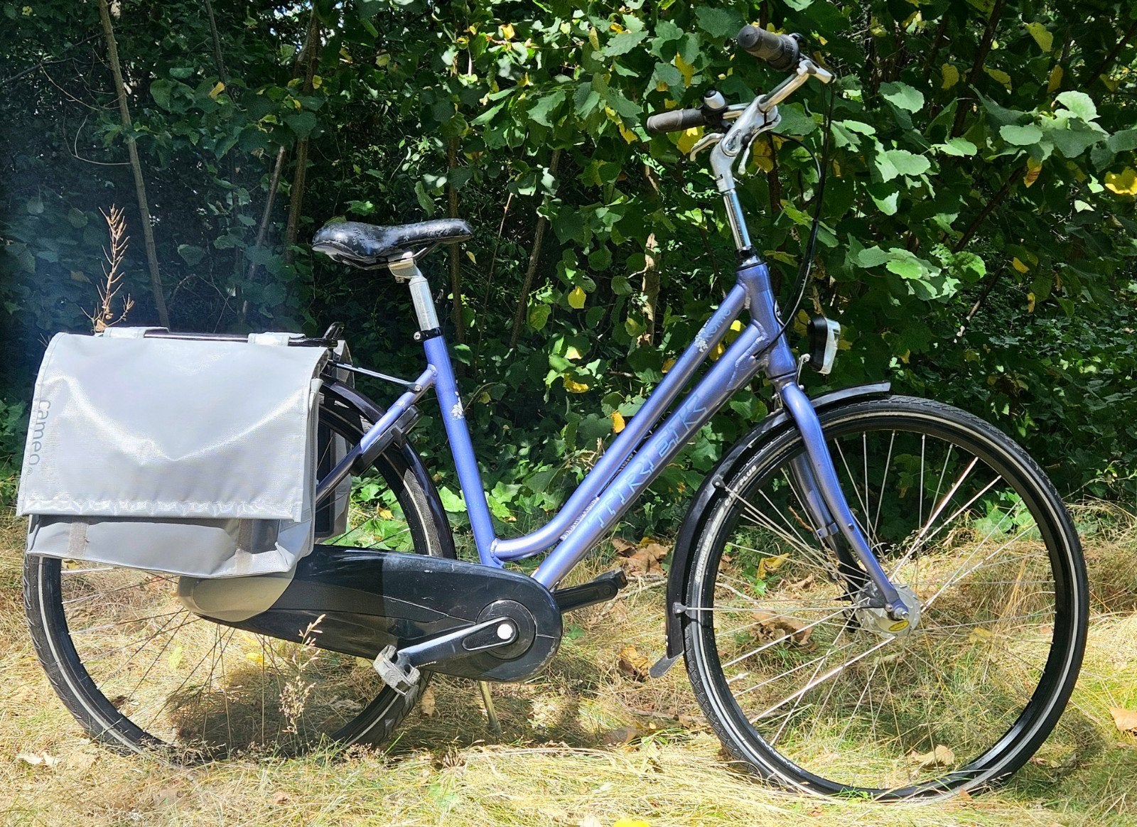 ✅ In goede staat Lichtgewicht Trek Damesfiets 28" Frame M51, Ophalen, Versnellingen, Zo goed als nieuw, 50 tot 53 cm
