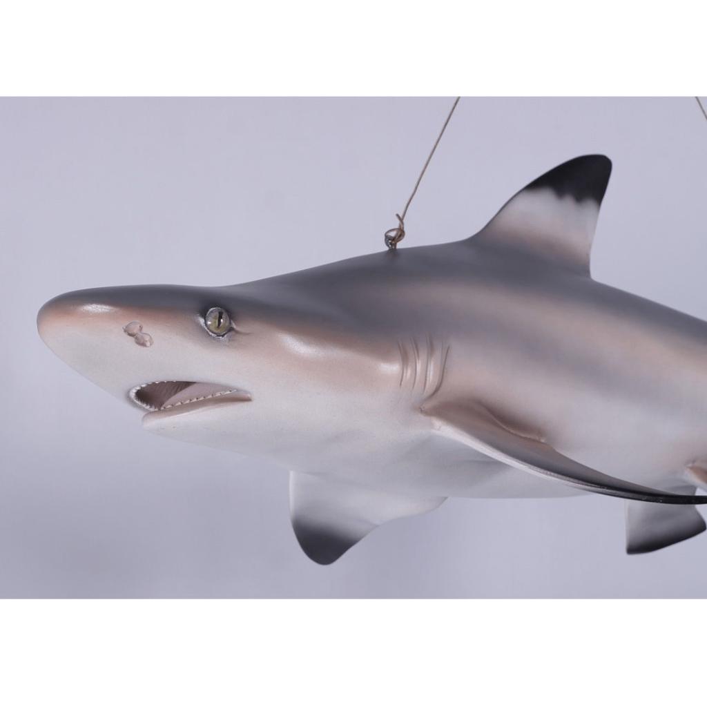 Statue noire Shark Tip Reef — Longueur du requin 115 cm, Enlèvement, Neuf
