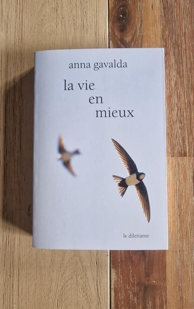 La vie en mieux de Anna Gavalda, Ophalen of Verzenden, Zo goed als nieuw, Anna Gavalda