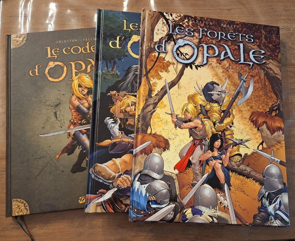 Série bd Les forêts d'Opale, Enlèvement