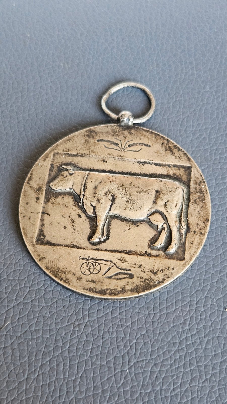 Zilver Medaille  veeprijskamp Roesbrugge ´58, Ophalen, Zilver