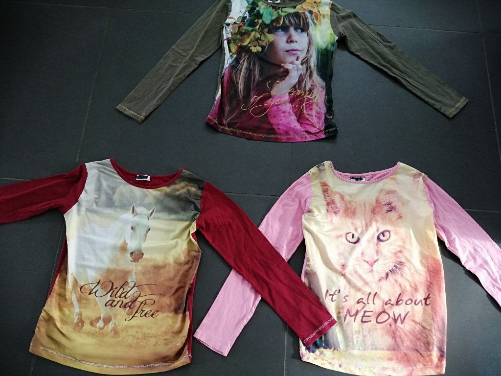t-shirts lange mouwen meisjes 12 jaar, Kinderen en Baby's, Kinderkleding | Maat 152, Ophalen of Verzenden, Zo goed als nieuw, Meisje
