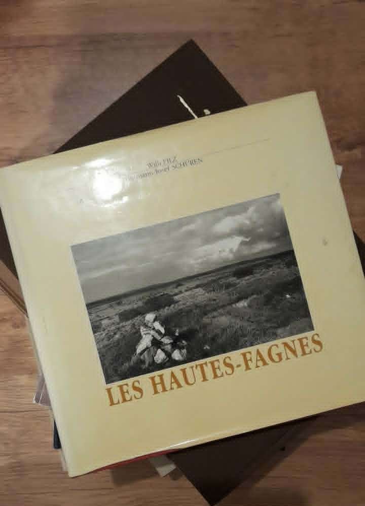 A DONNER LOT DE LIVRES D'ART, Ophalen, Gelezen, Schilder- en Tekenkunst