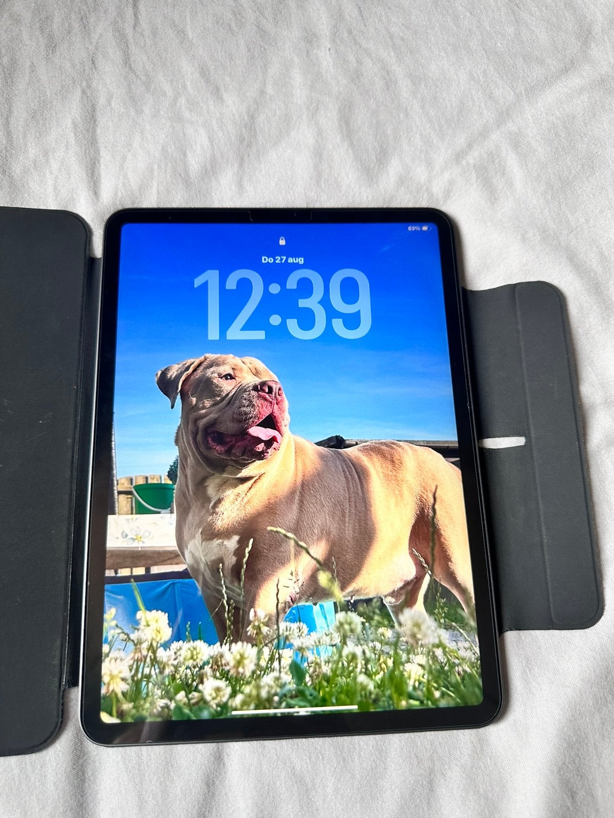 Ipad Pro, Telecommunicatie, Ophalen, Zo goed als nieuw, Zonder simlock, Grijs