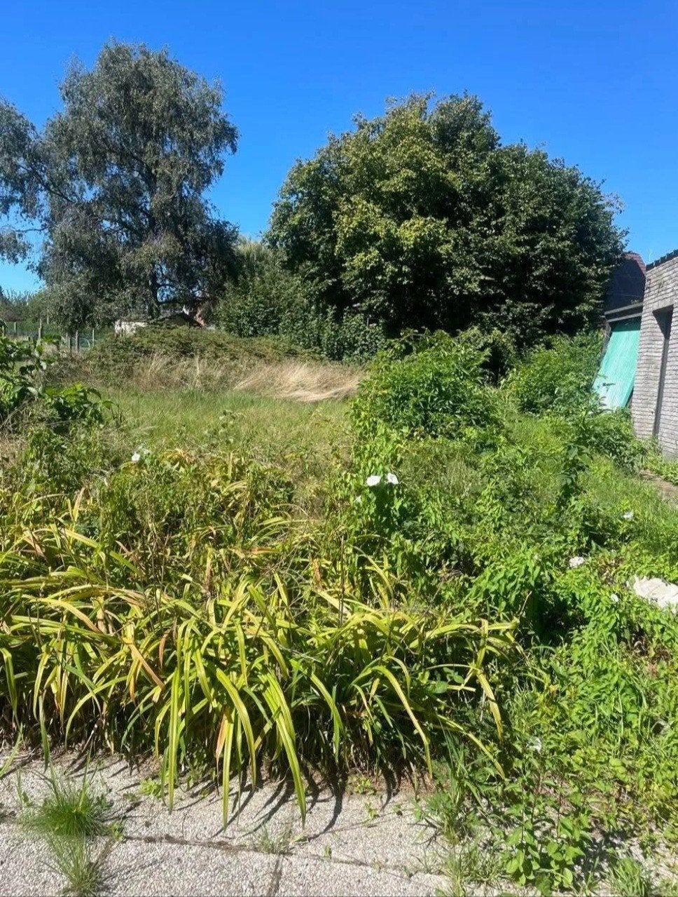 Tuinaannemer – Tuinaanleg, tuinonderhoud & omheiningen | Tui, Enlèvement