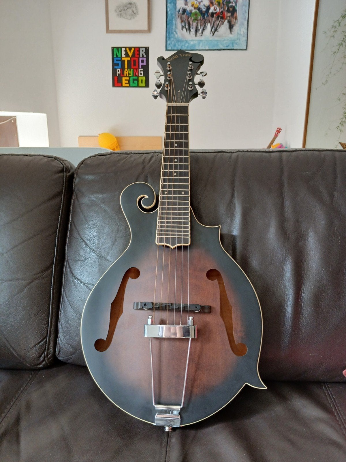 Gold Tone F6 mandolin, Musique & Instruments, Instruments à corde | Guitares | Acoustiques, Enlèvement, Comme neuf, Autres types
