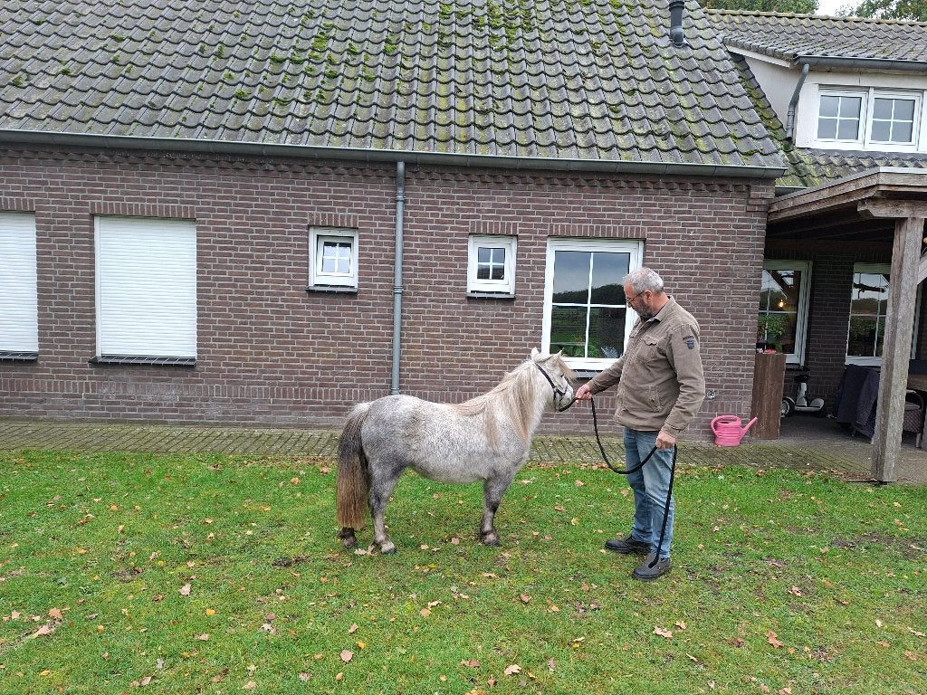 Prachtige kinderpony, Dieren en Toebehoren, Merrie, A pony (tot 1.17m), Gechipt, 0 tot 2 jaar