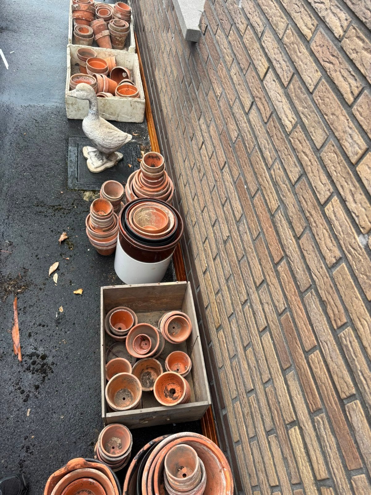 terracotta bloempotjes, Ophalen