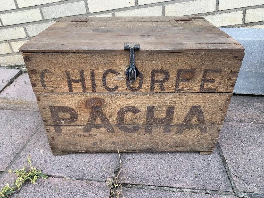Oude kist chicorei Pasha, Ophalen