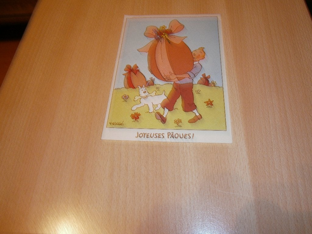TINTIN, Enlèvement ou Envoi, Tintin, Neuf