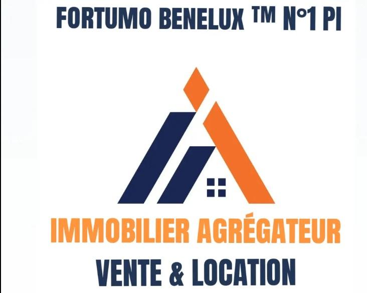 IA  2021 fortumo n1 Benelux, Immo, Échange de logement, Tournai