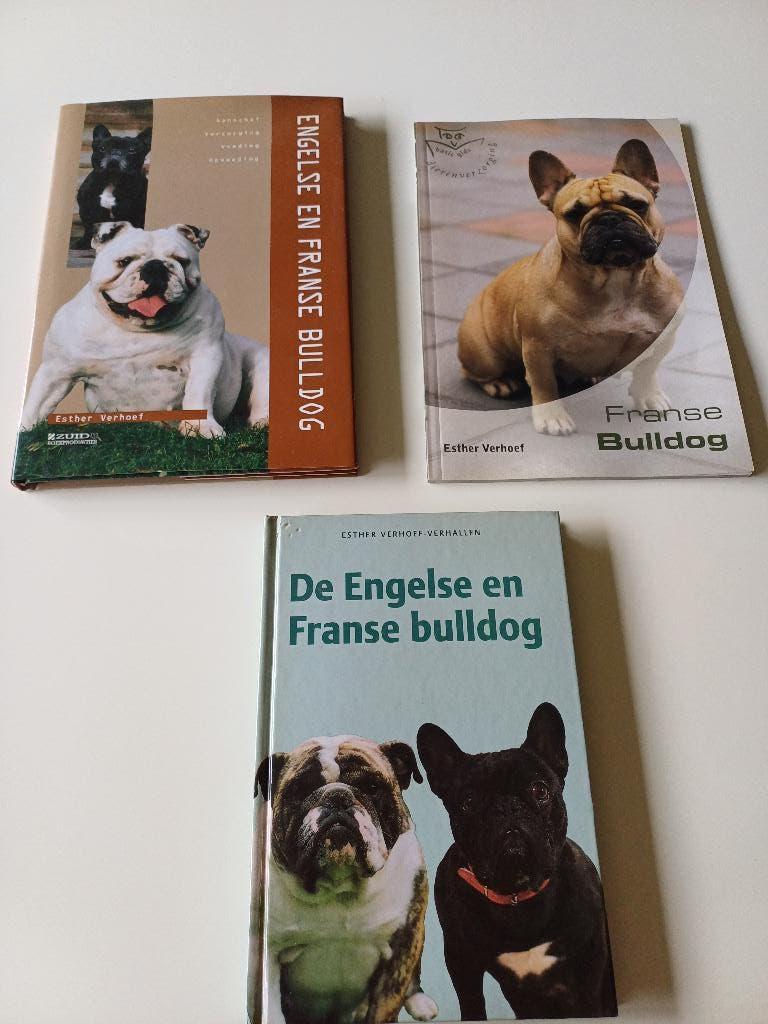 Rasboeken Engelse en Franse bulldog, Enlèvement, Utilisé, Chiens