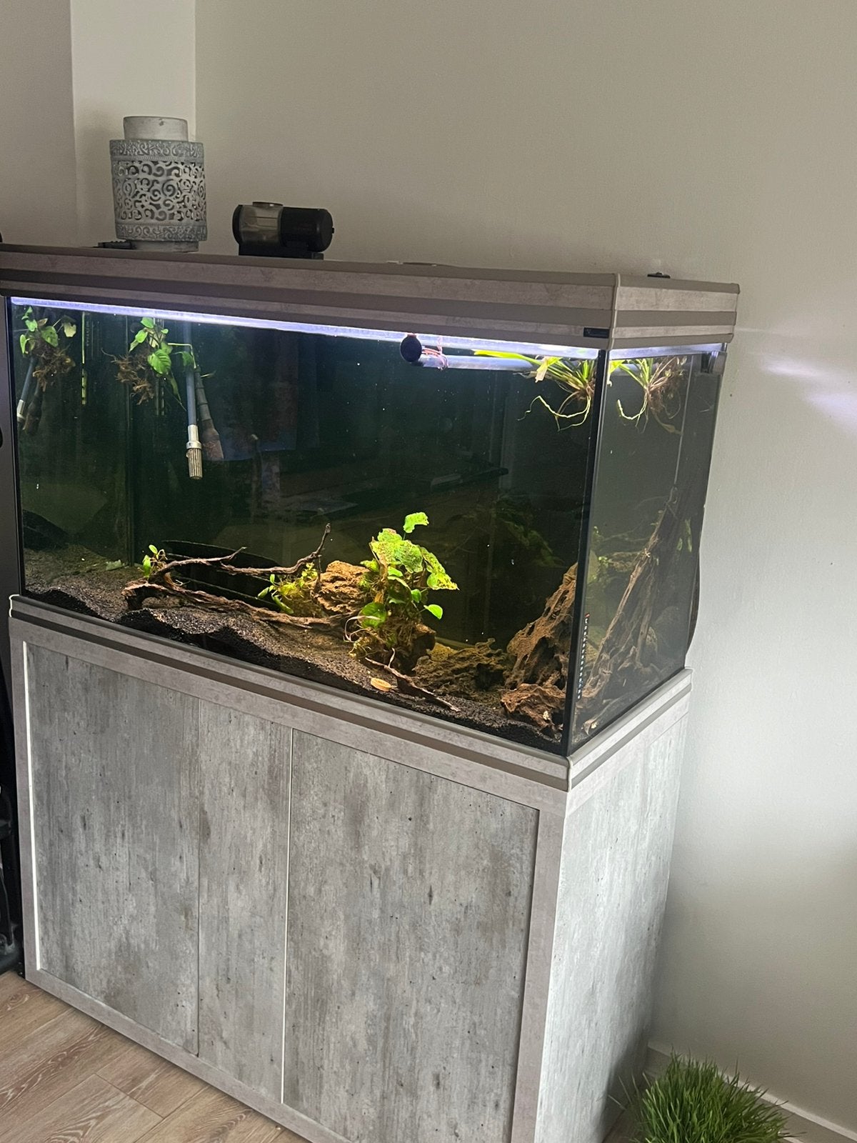 Aquarium met kast en techniek, Chauffage, Aquatlantis, Aquarium vide, Comme neuf