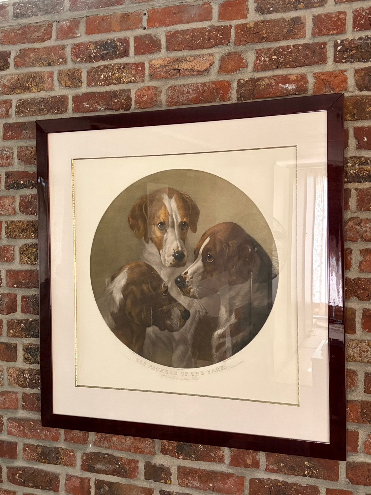 Chiens de chasse Kader, Avec verre, Enlèvement, Animaux et nature