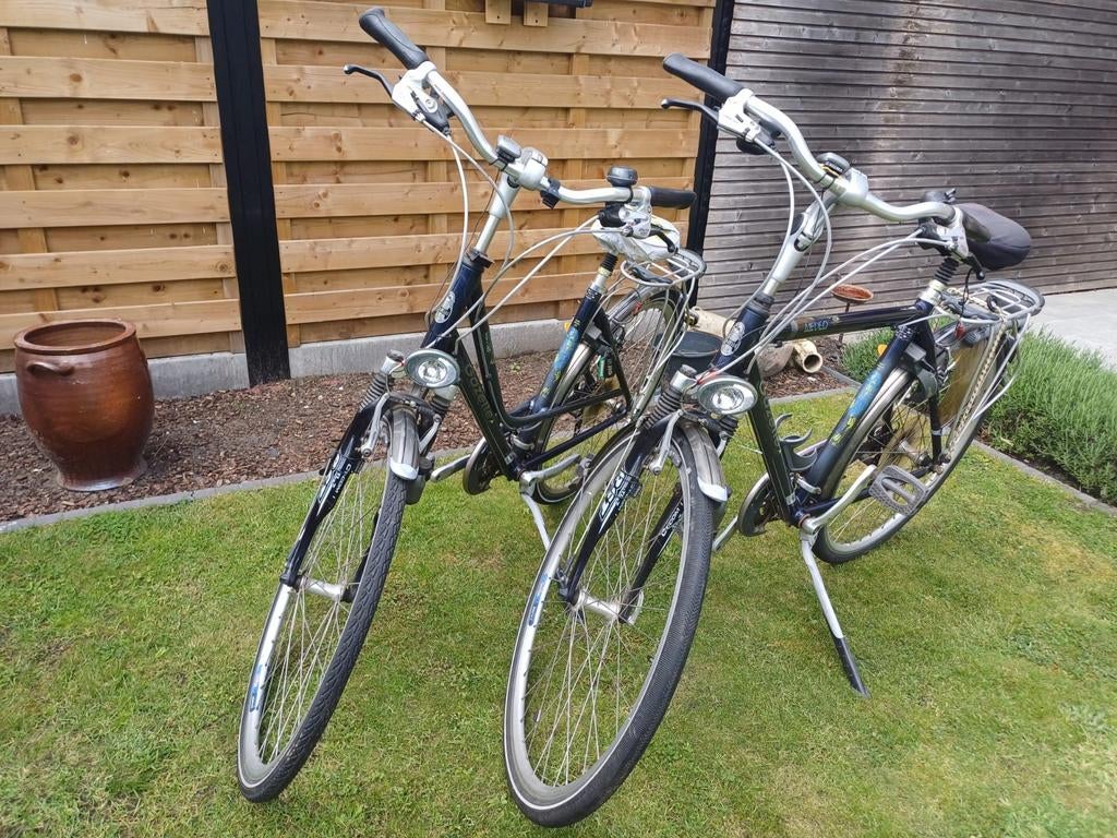 2 Fietsen Gazelle (frame 49 en 54) + gratis fietsendrager., Fietsen en Brommers, Ophalen, Gazelle