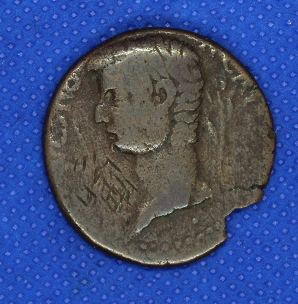 Tiberius 14-37 AD Provinciaal Syrtica, Ophalen of Verzenden, Losse munt