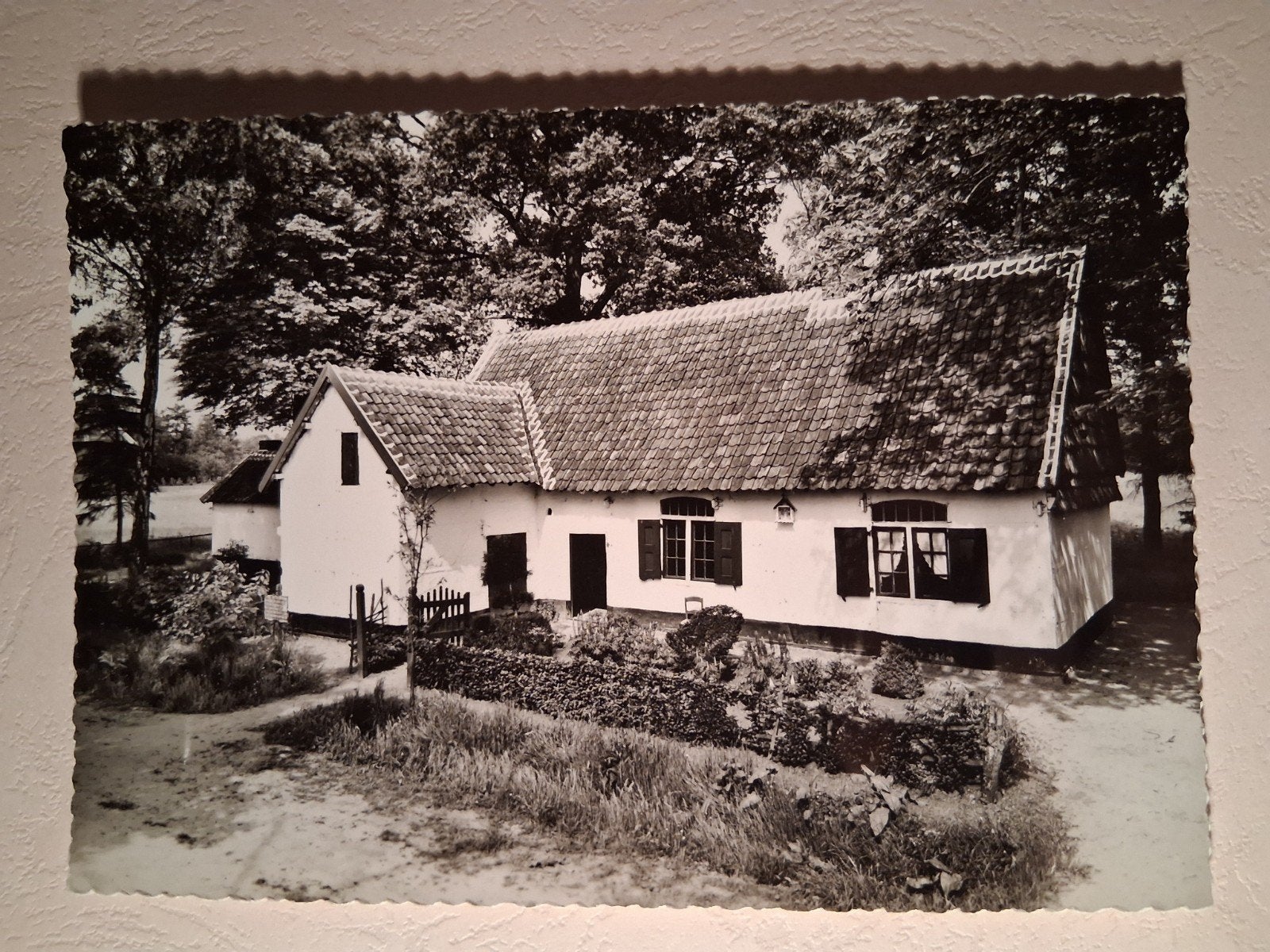 vintage Postkaart Vakwerkhoeve uit Kortessem in Bokrijk, Ophalen of Verzenden