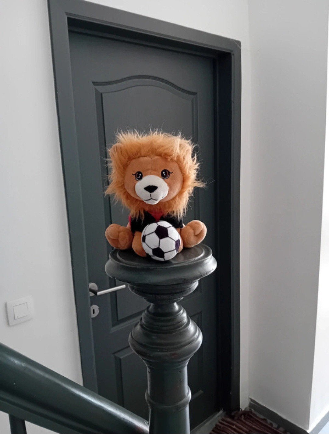 Team mascotte belgium, Ophalen