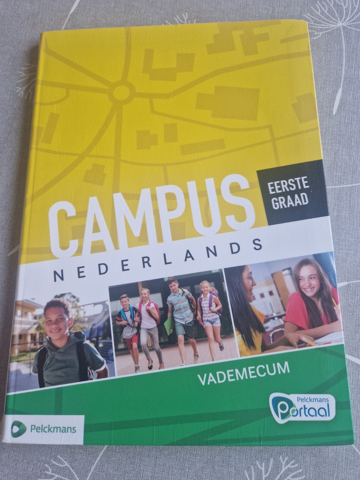 Campus Nederlands Vademecum (1ste graad), Ophalen of Verzenden, Zo goed als nieuw, ASO, Nederlands