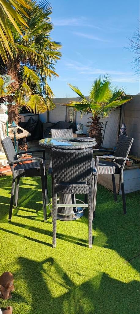 Party tafel en stoelen met ijs emmer, Ophalen