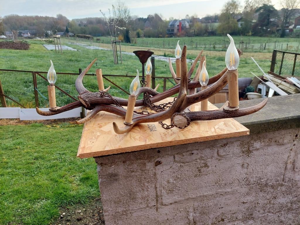 Lustre bous de cerf, Enlèvement