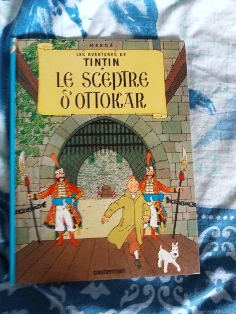 BD, Enlèvement ou Envoi, Une BD, Comme neuf, Hergé