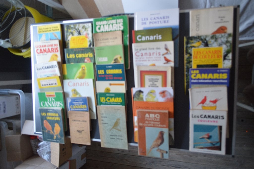 livres elevage, Enlèvement, Utilisé, Autres types