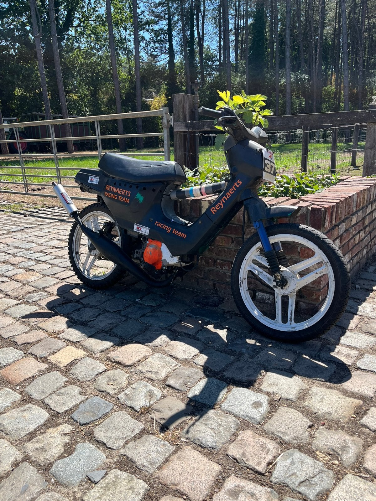 Honda wallaroo cross, Enlèvement, Comme neuf