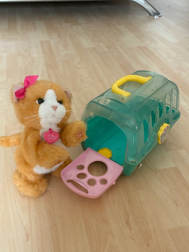 Interactieve poes, Enlèvement, Comme neuf, Garçon ou Fille