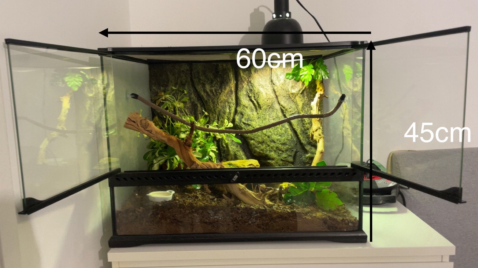 Terrarium met kameleon, Dieren en Toebehoren