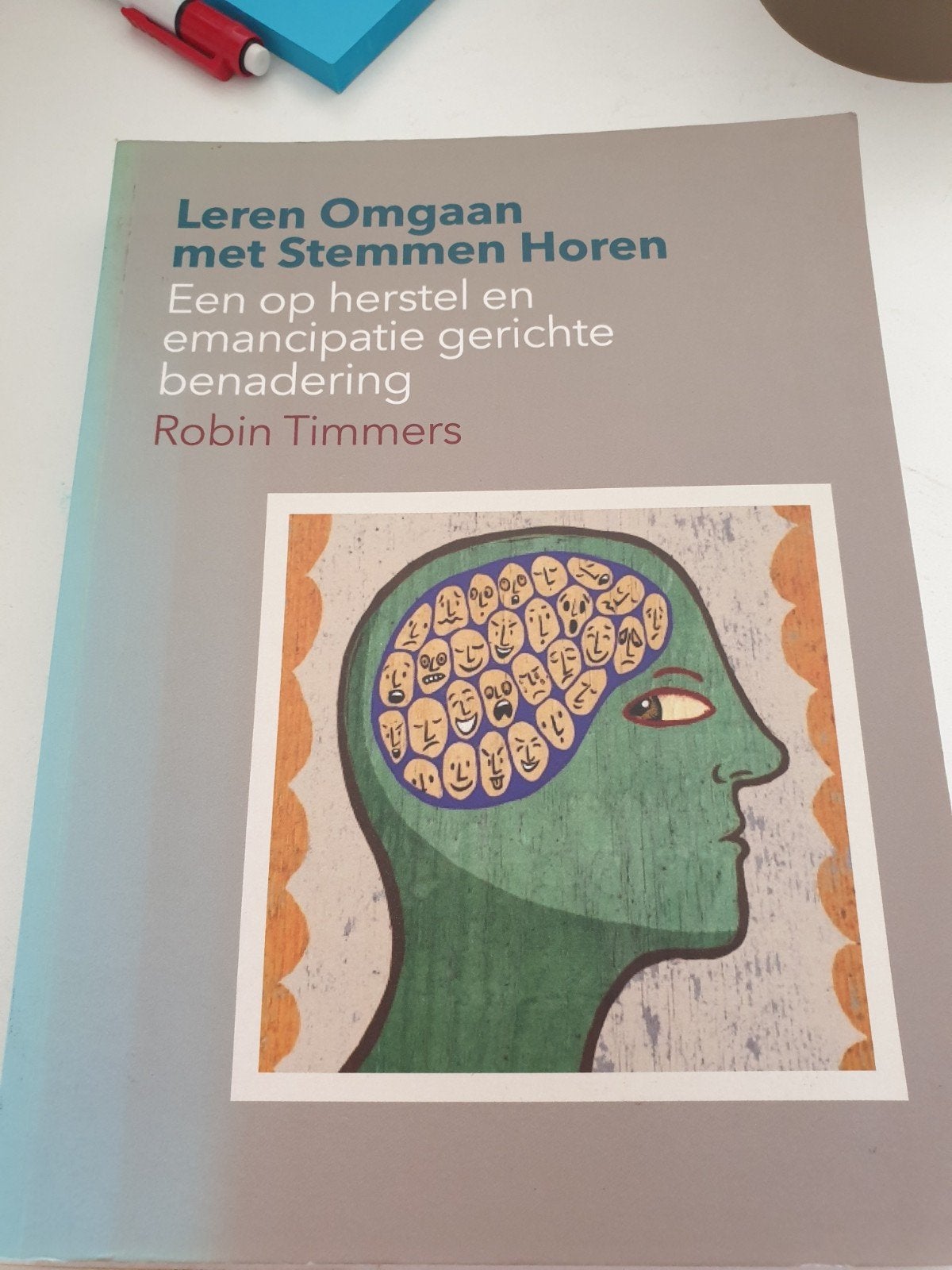 Robin Timmers - Leren omgaan met stemmen horen, Boeken, Ophalen of Verzenden, Robin Timmers