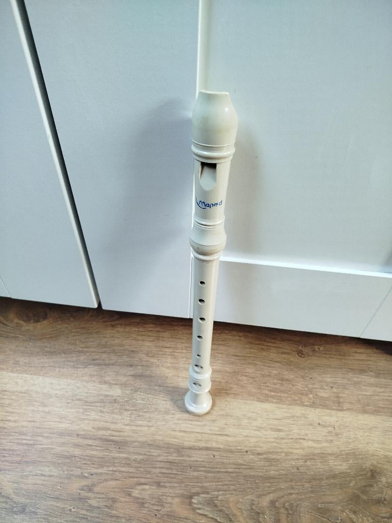 Flûte, Musique & Instruments, Instruments à vent | Flûtes à bec, Enlèvement, Utilisé, Autres types, Synthétique