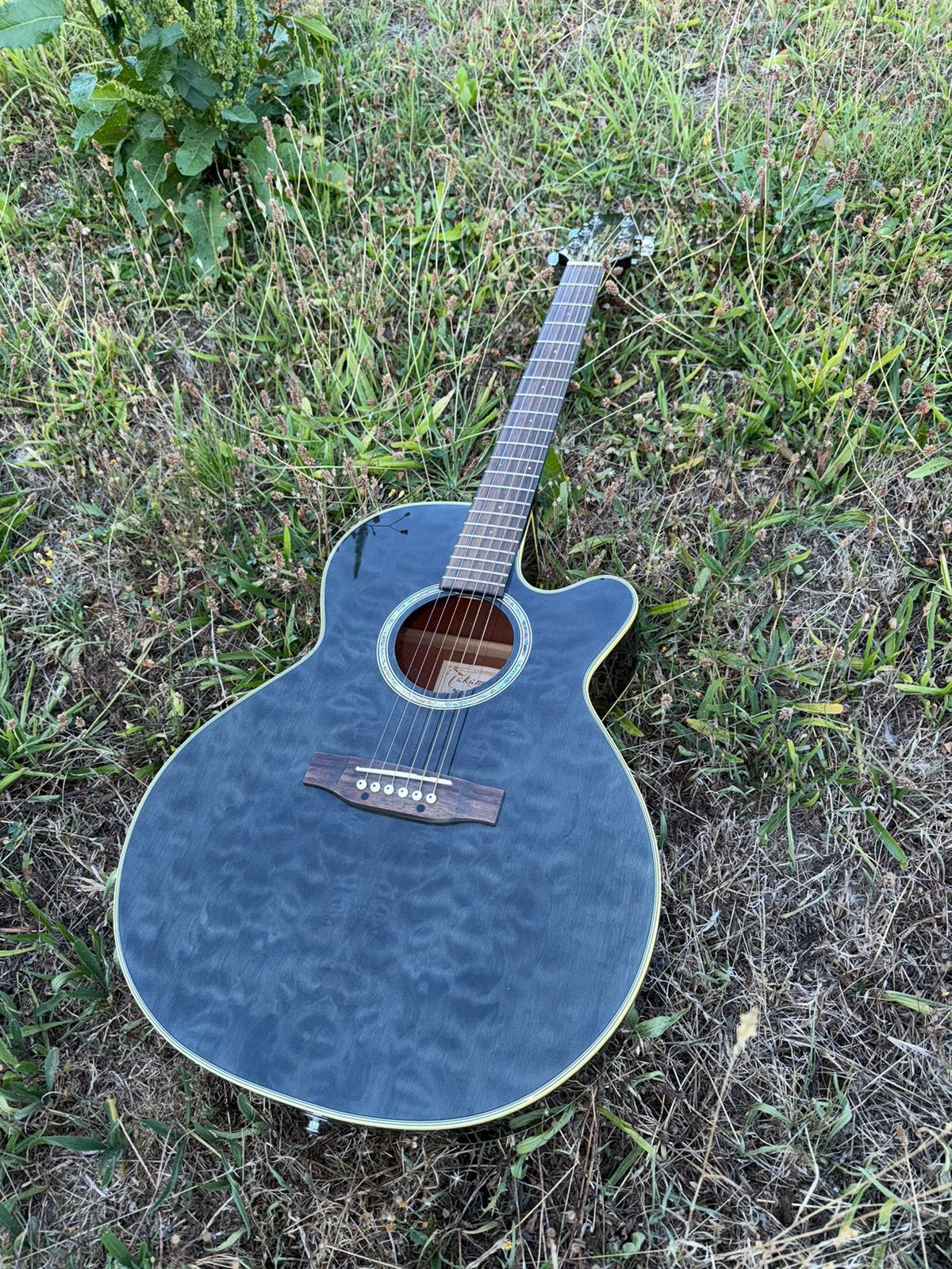 Takamine EG540C, Musique & Instruments, Instruments à corde | Guitares | Acoustiques, Enlèvement, Comme neuf