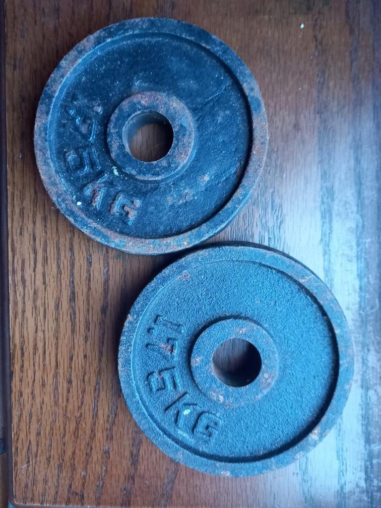 2 halter schijven van elk 1,75 kg, Sport en Fitness, Ophalen